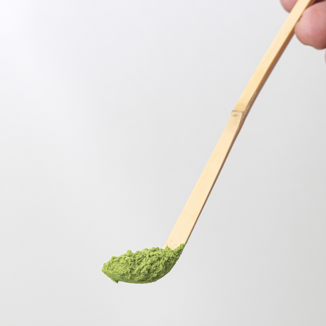 Cuchara chashaku de bambú con polvo verde de té matcha ceremonial de alta calidad originario de Kyoto.